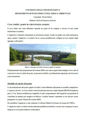 CASO STUDIO: PONTE IN CALCESTRUZZO ARMATO